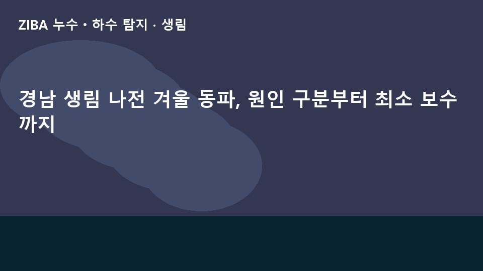 경남 생림 나전 겨울 동파, 원인 구분부터 최소 보수까지