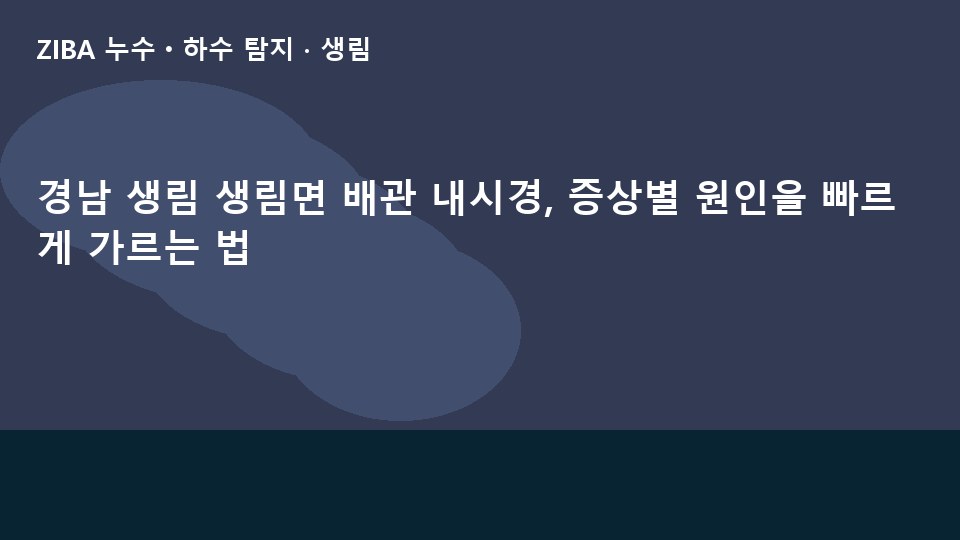 경남 생림 생림면 배관 내시경, 증상별 원인을 빠르게 가르는 법