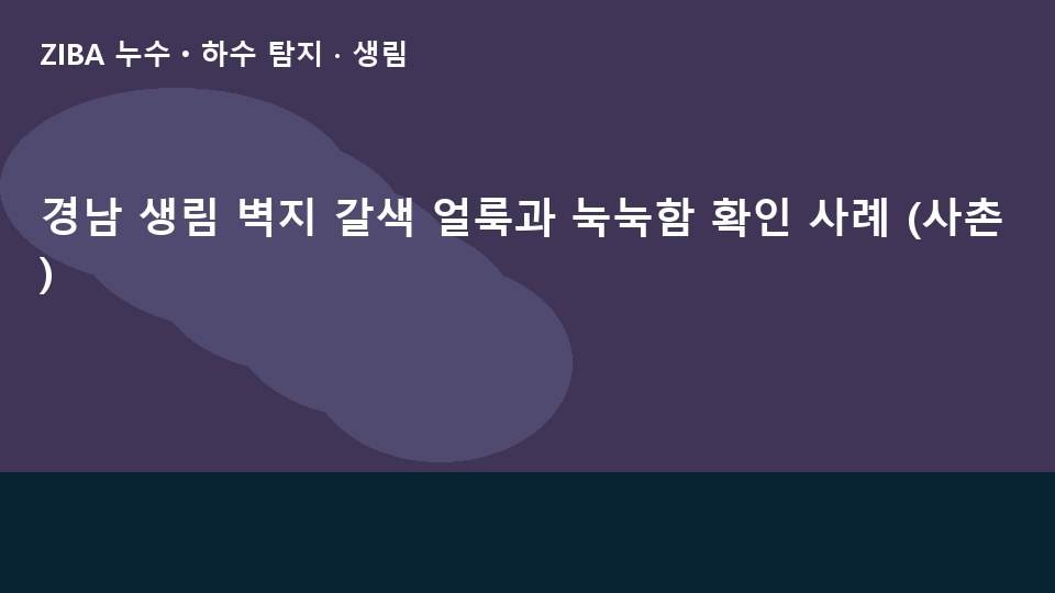 경남 생림 벽지 갈색 얼룩과 눅눅함 확인 사례 (사촌)